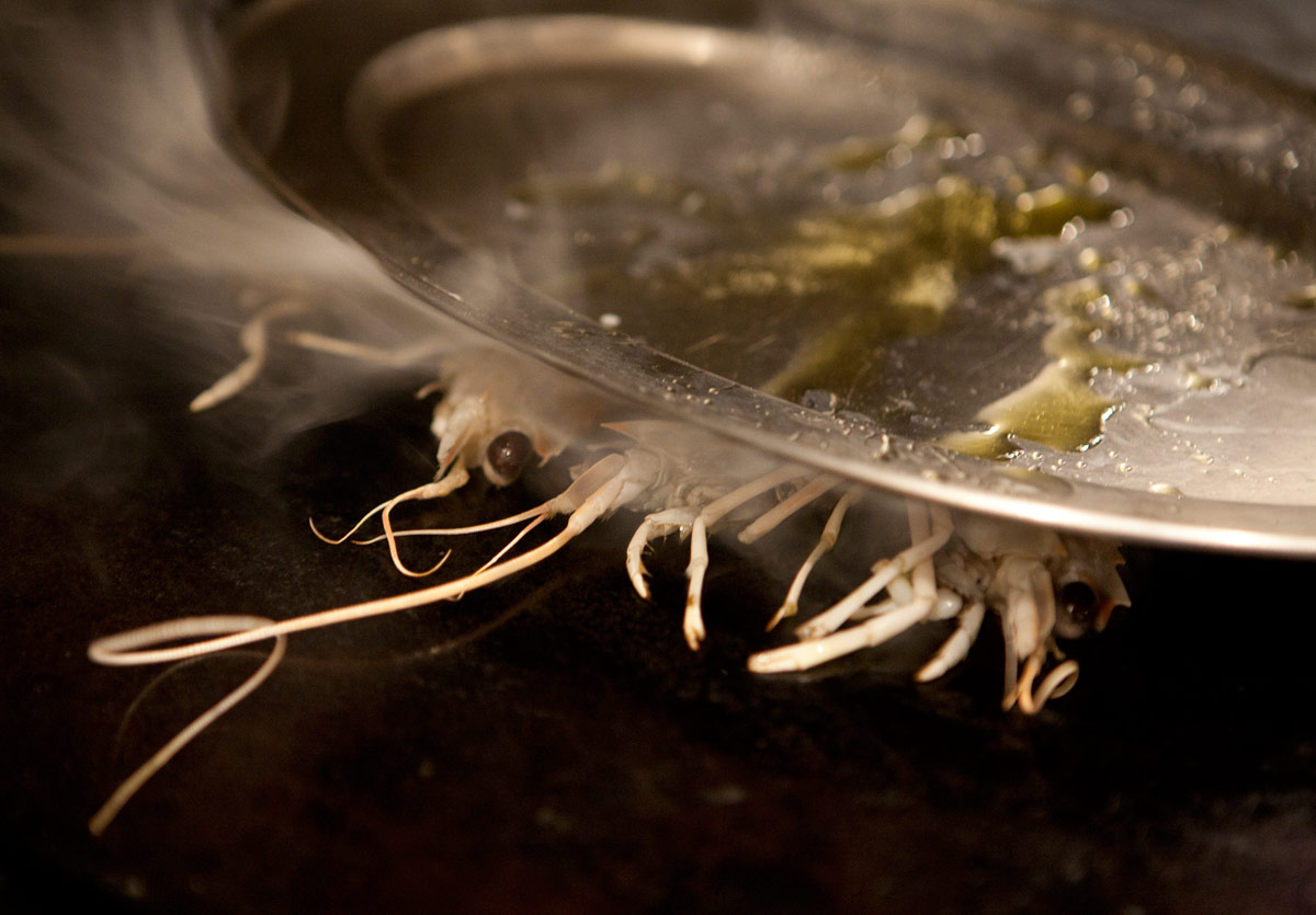 culinary_photograph_of_a_lobster